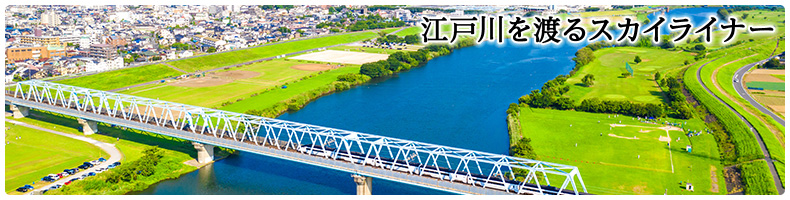 松戸医師会：季節の風景・春（江戸川を渡るスカイライナー）